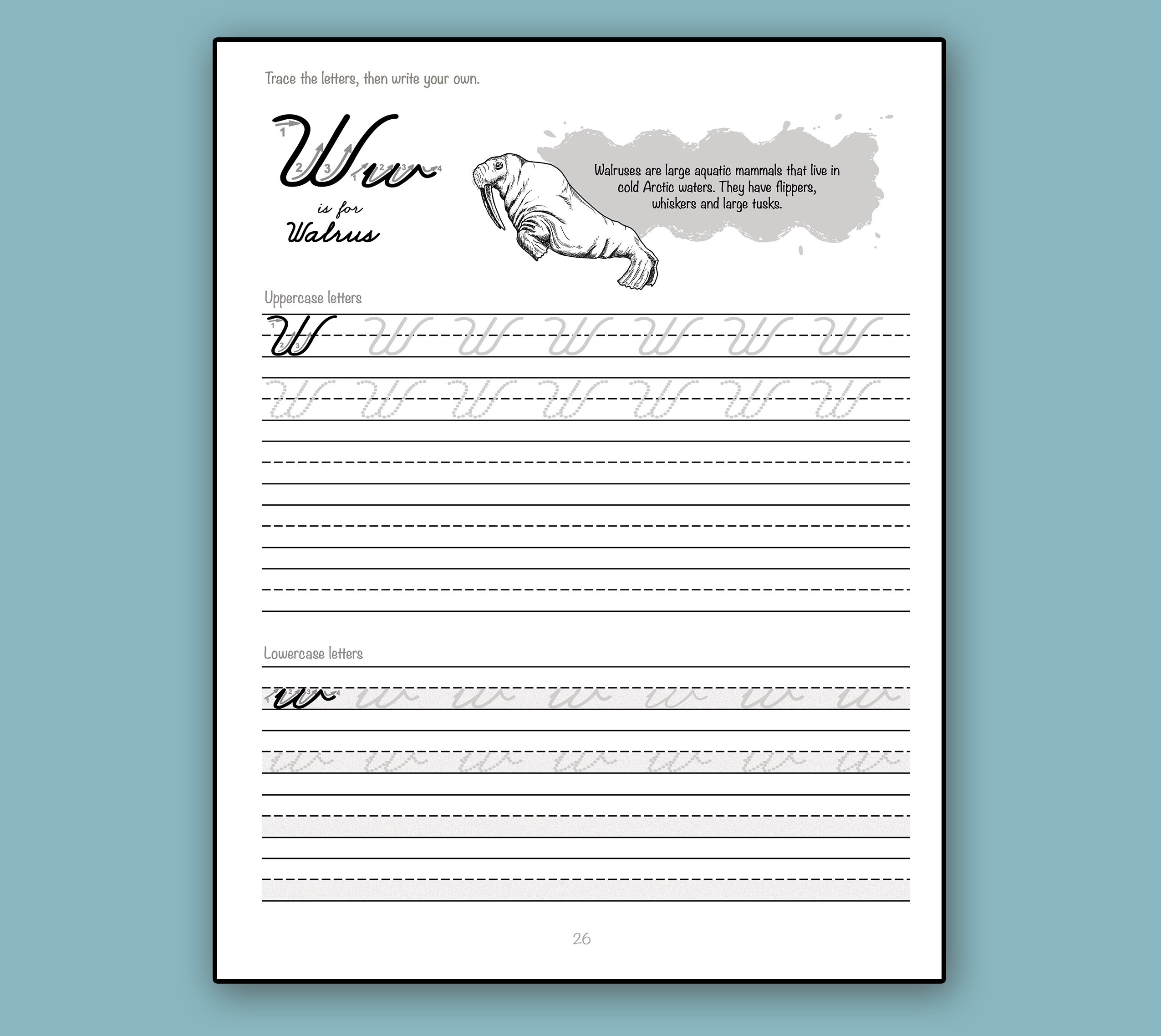 Mermaid Cursive Handwriting Workbook Teacher Gift for Kids - Etsy