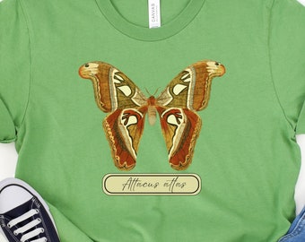 Atlas Moth T-shirt Vintage Art Illustration, Attacus Atlas, Entomology
