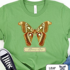 Atlas Moth T-Shirt Vintage Art Illustration, Attacus atlas, Entomology Gifts, Bug Shirt, Insect Lover