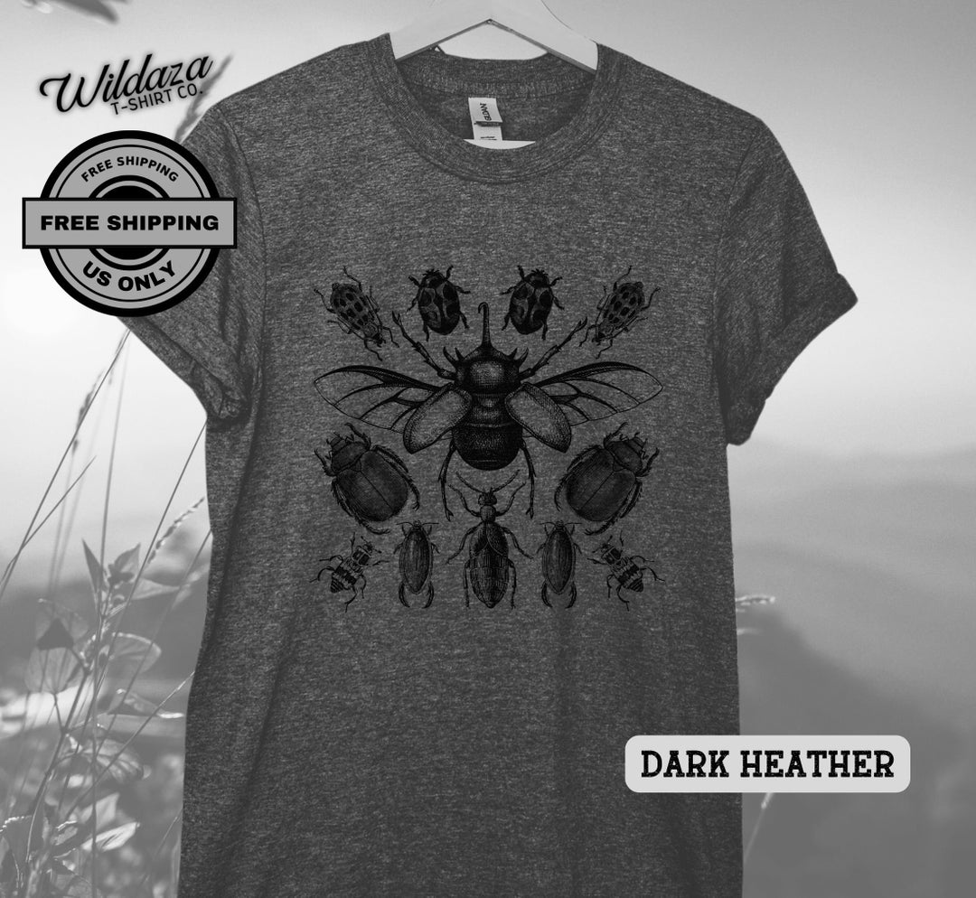 Vintage Beetle Illustrations for Entomology Nerds and Bug Lovers Bug ...