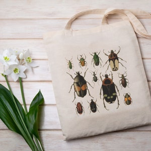 Beetles Cotton Canvas Tote Bag - Vintage Insect Illustration Bag for Beetle Lovers, Entomology Enthusiasts, Insect Lover Gifts