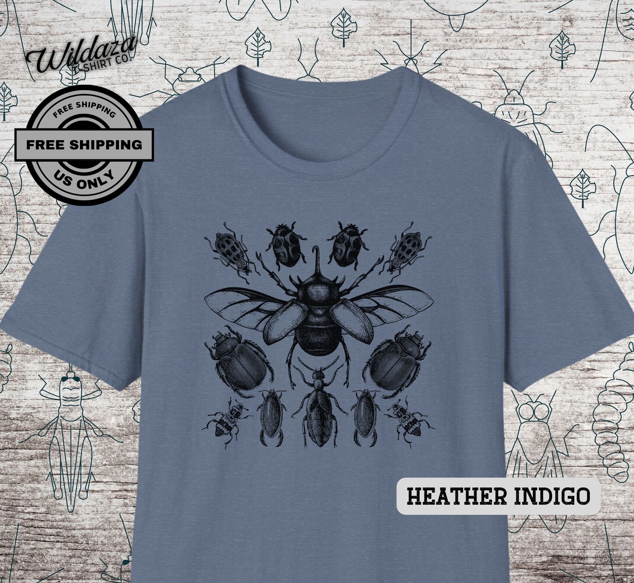 Vintage Beetle Illustrations for Entomology Nerds and Bug Lovers Bug ...