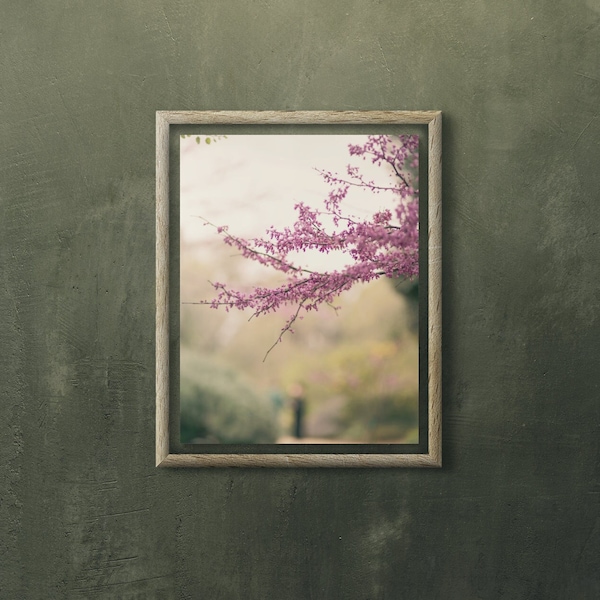 Pink Flowers on a Branch.  Delicate pink leaves hanging over a walking path. Pink and green muted tones. This print will brighten any room.