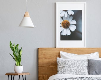 White Daisy Flower Photography Print – Blue Background Floral Art