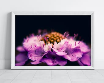 Pink Petals flower photography print. Macro flower print available on high quality glossy paper, ready-to-hang canvas and metal print.