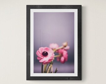 Pink Ranunculus Flower Print – Abstract Floral Wall Art