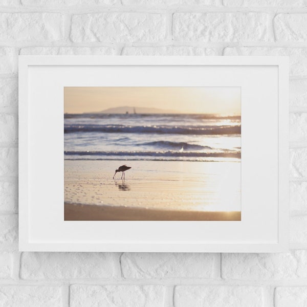 Sunset at the beach and a shorebird hunting for his dinner. Original print available on ready-to-frame photo paper or ready-to-hang canvas.
