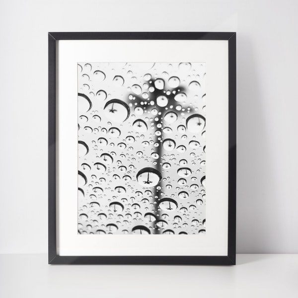 Original print of a palm tree reflected in many raindrops.  Southern California photography on archival photo paper or high-quality canvas.