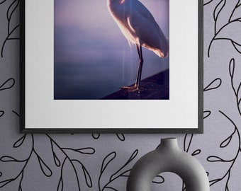 Snowy Egret Sunset Print | California Beach Bird Photography
