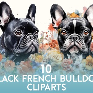 FRENCH BULLDOG CLIPARTS [Schwarz] (Süßes Haustier Portrait, Hunde, Frenchie, Aquarell, ästhetisch, digitaler Download)