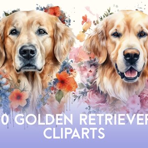 GOLDEN RETRIEVER CLIPARTS (Cute Pet Portrait, Dogs, Golden, Watercolor, Aesthetic, Digital Download)