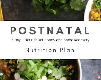 Postnatal Nutrition Plan, Postpartum Recovery, Breastfeeding Recipes (Digital Download)