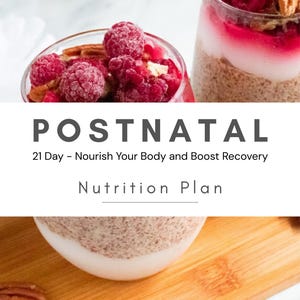 21 Day Postnatal Meal Plan, Dairy/Gluten/Soy Free Recipes (Digital)