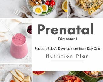21-Day First Trimester Meal Plan | Prenatal Nutrition for Baby’s Early Development (Digital Download)