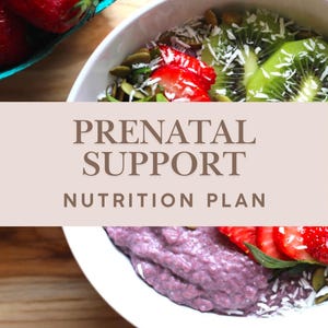 Prenatal Support Nutrition Plan, Prenatal Nutrition, Balanced Meals, Healthy Pregnancy Diet, Healthy Maternity