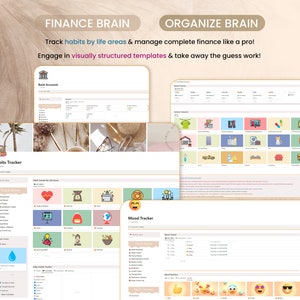 May include: A screenshot of a computer screen showing a website with a colorful interface. The website is designed to help users track their habits, finances, and mood. The website has a section for tracking bank accounts, a section for tracking habits by life area, and a section for tracking mood.