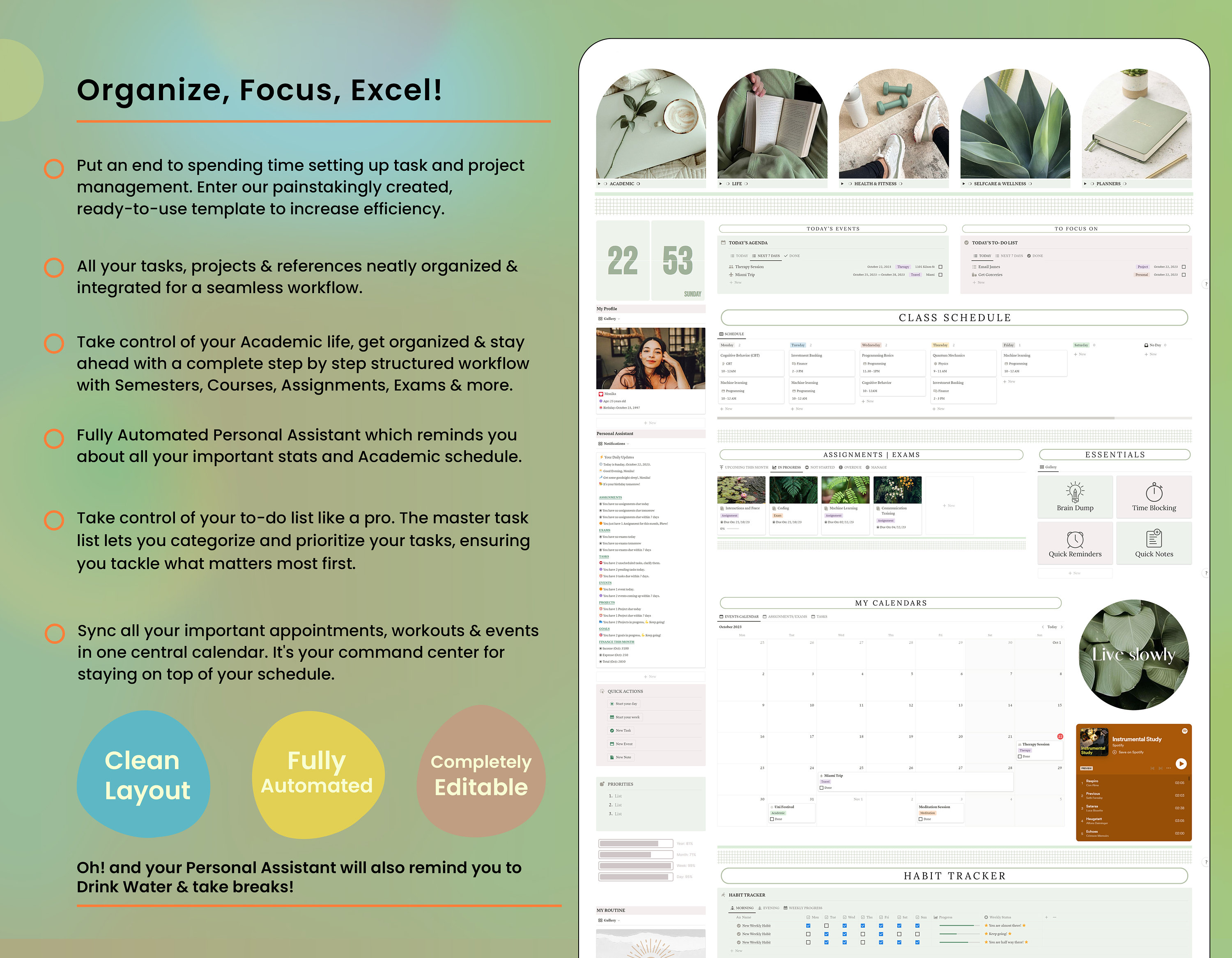 2026 Notion Student Life Planner, University Planner Template, Academic ...
