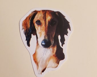 Greyhound waterproof sticker FREE SHIPPING within Canada