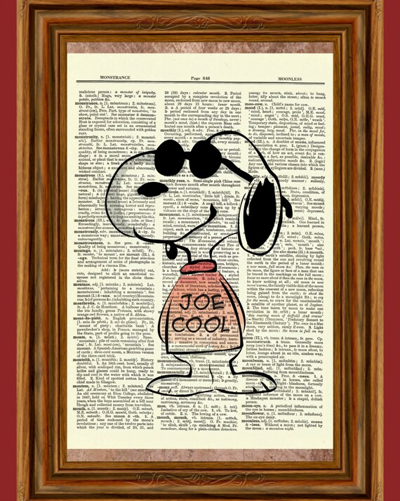 Joe cool sunglasses on sale