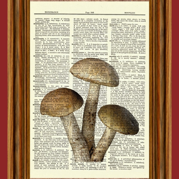 Mushrooms Vintage Dictionary Art Print, Picture, Upcycled Antique Gift, Home Decor Hanging, Fungus, Fungi, Nature