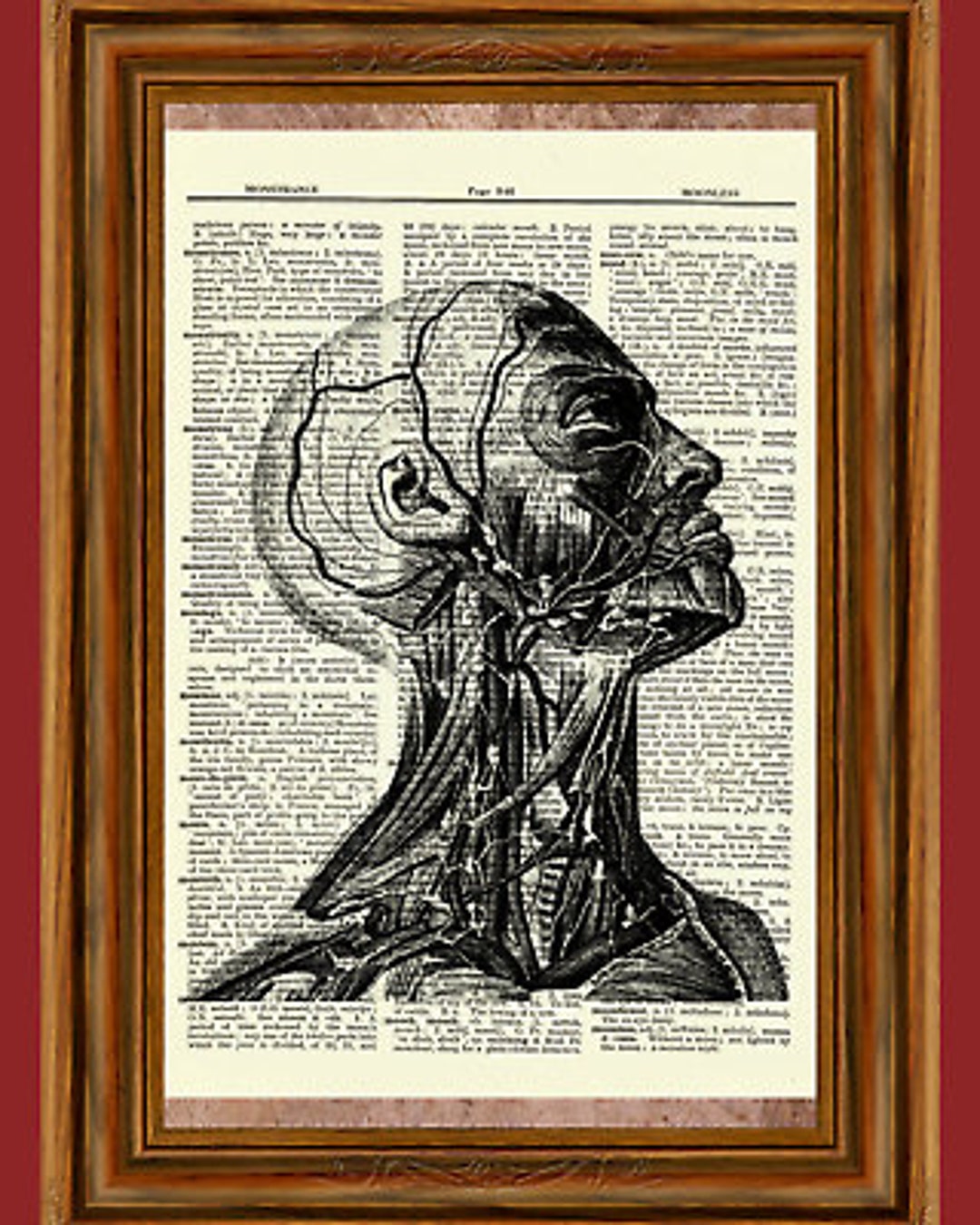 Human Anatomy Vintage Dictionary Art Print, Picture, Upcycled Antique ...