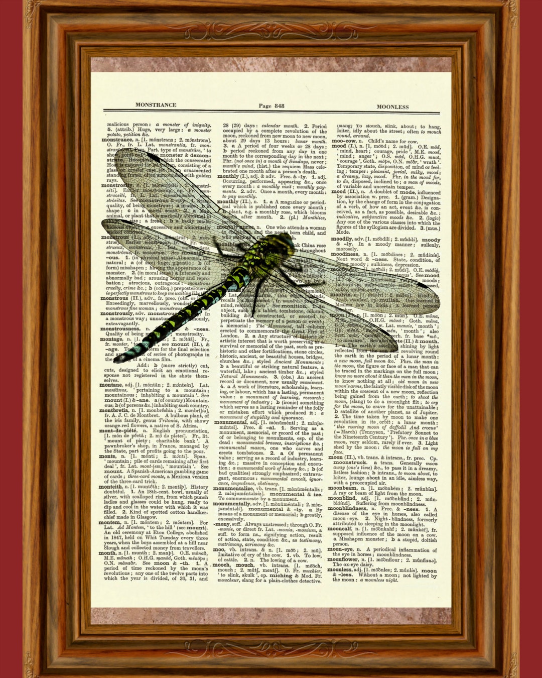 Dragonfly, Vintage Dictionary Art Print, Picture, Upcycled Antique Gift ...