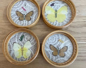 Set of 4 Vintage Pressed Real Butterfly Coasters