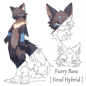 Furry Base Reference Sheet: Instant Download, OC Reference Sheet, Transparent Background, PNG Format, Fursona Adopt, Furry Lineart