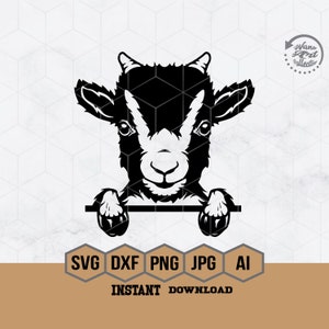 Baby Goat Peeking Svg | Baby Goat Svg | Cute Goat Svg | Peeking A Boo Svg | Farm Life Svg | Farm Goat Clipart | Cute Goat Cutfile | Goat Png