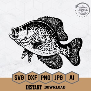 Crappie Fishing Svg, Fishing Svg, Crappie Fish Svg, Crappie Clipart, Crappie Cricut, Fishing T-shirt Design, Outdoor Fishing Cut File