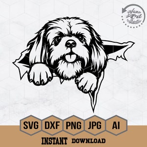 Shih Tzu Svg, Shih Tzu Peeking Svg, Perro Rasguño Svg, Shih Tzu Scratch Theme Png, Animales De Compañía Vector, Camisa De Perro, Clipart De Raza De Perro