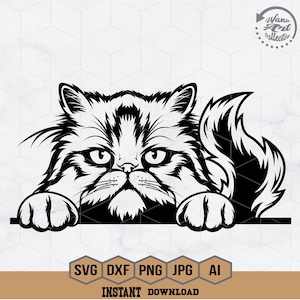 Perzische kat gluren svg | Perzische kat-svg | Kattenclipart | Kattensjabloon | Perzische kat, png-bestand | Kattenliefhebber-svg | Gluren dier Svg| Snijbestand kat