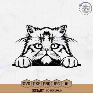 Perzische kat gluren Svg | Perzische kat Svg | Kattenliefhebber Svg | Kattensjabloon | Perzische kat, png-bestand | Kattenliefhebber-svg | Gluren dier Svg| Snijbestand kat