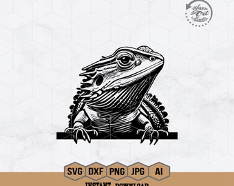 Puede incluir: Ilustración en blanco y negro de un dragón barbudo mirando hacia la derecha. El dragón está encaramado en una repisa con sus patas delanteras colgando sobre el borde.