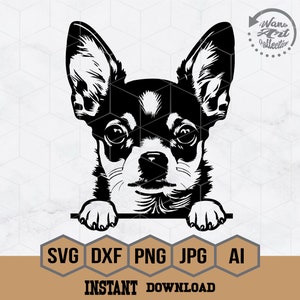 Podglądający Chihuahua Svg | Mały Pies Svg | Uroczy Chihuahua Svg | Szablon Chihuahua | Clipart Pies Portfel | Projekt Koszulki Miłośnika Psów