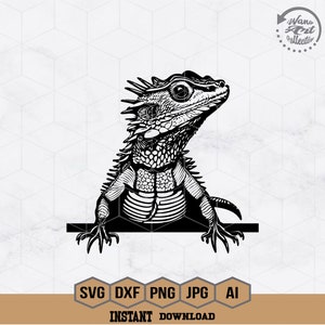 Bearded Dragon Svg | Bearded Dragon Clipart | Komodo Lizard Cutfile | Small Reptile Stencil | Cute Zoo Crew Shirt | Zoo Keeper Gift Idea dxf