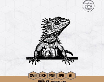 Puede incluir: Ilustración en blanco y negro de un lagarto con una espalda espinosa y una cola larga. El lagarto está mirando hacia la derecha y tiene la boca ligeramente abierta. El lagarto está sentado en una línea horizontal.