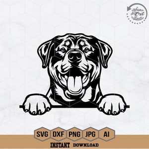 May include: Black and white illustration of a Rottweiler dog peeking over a surface with its tongue sticking out. The dog is looking directly at the viewer.