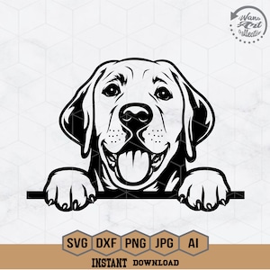 Labrador Retriever Svg | Labrador Svg | Meilleur ami de l'homme | Doggo Svg | Chien Svg | Labrador furtif Svg | Chien Svg | Png Dxf Eps