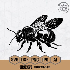 Honey Bee Svg | Bumble Bee Svg |  Bee Hive Svg | Bee Clipart |  Insect Svg | Bee Cut file |  Bee Shirt |  Queen Bee Silhouette | Eps | Dxf