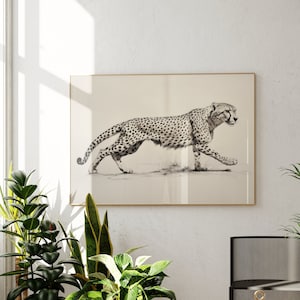 チーター猫のスケッチ、美的ステートメントウォールアート、ミニマリストモダンデザインプリント、トレンディなリビングルームの装飾、かわいいヴィンテージ動物アート