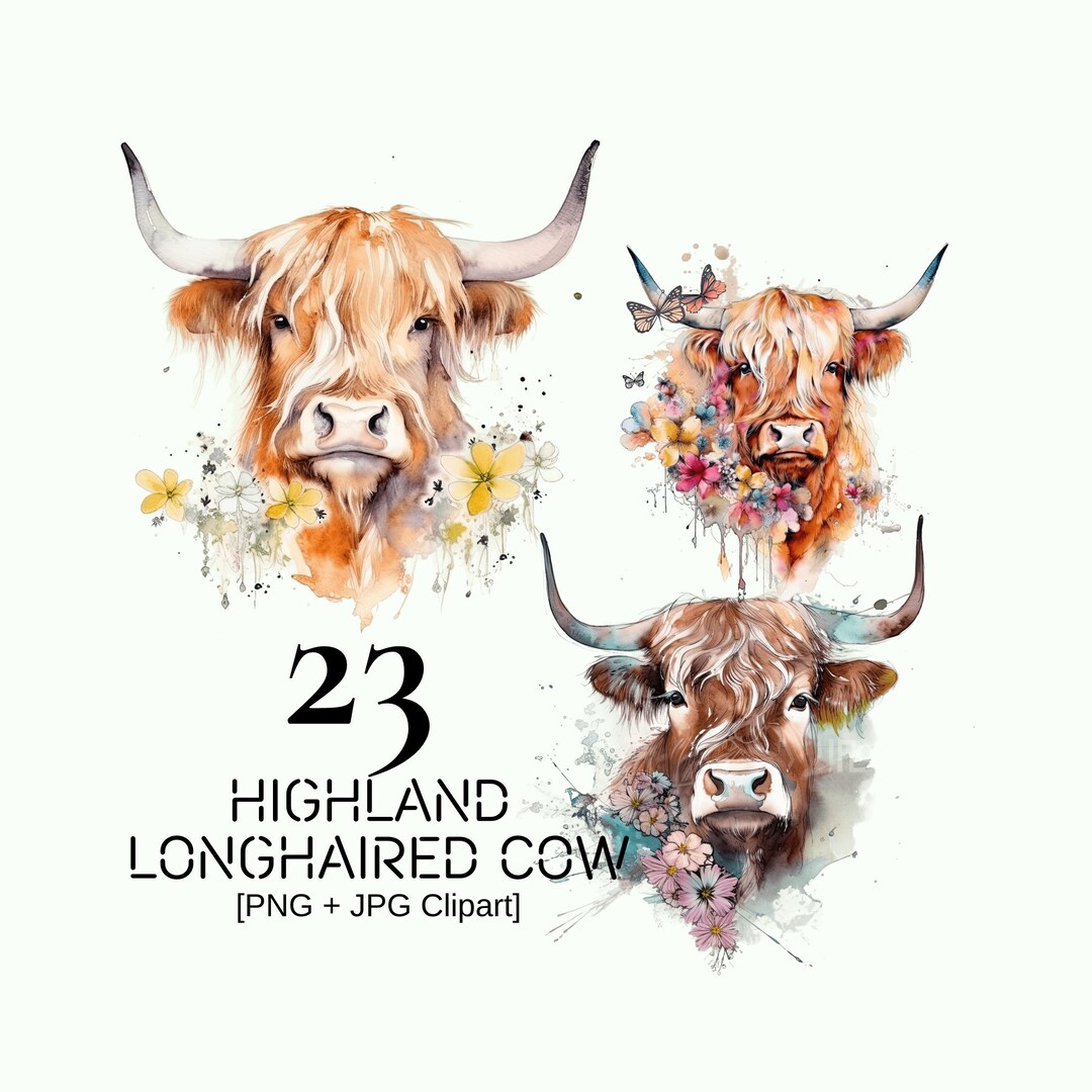 Watercolor Highland Cow With Spring Flowers Clipart Bundle High Quality ...