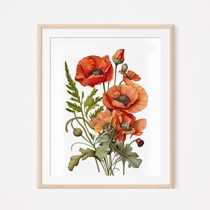 Poppy Painting #1 | Vintage Flower Print | Antique Botanical Art | PRINTABLE | 0007