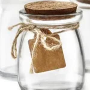 Small Terrarium Jar