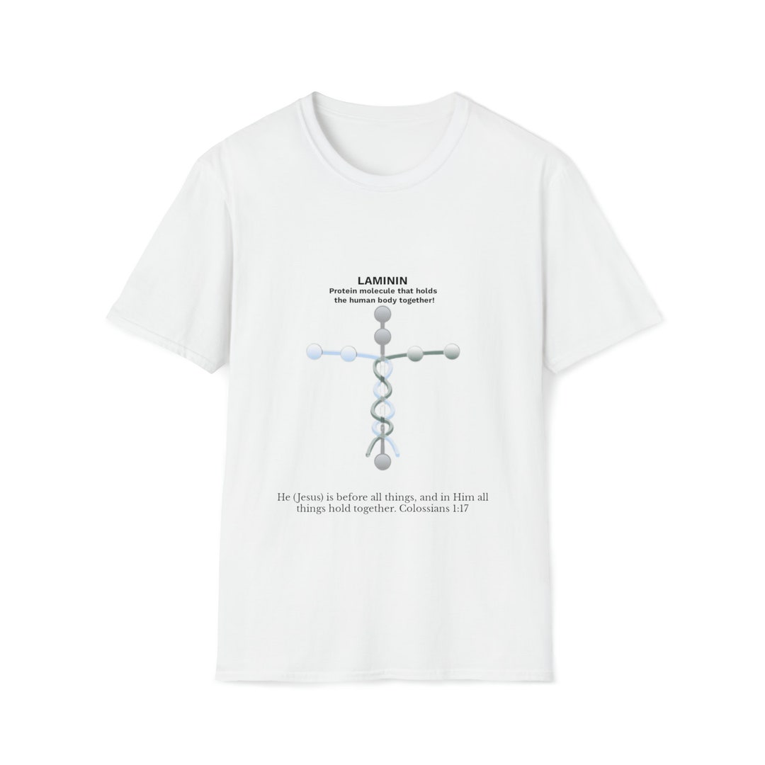 Laminin Molecule That Holds the Human Body Col 1:17