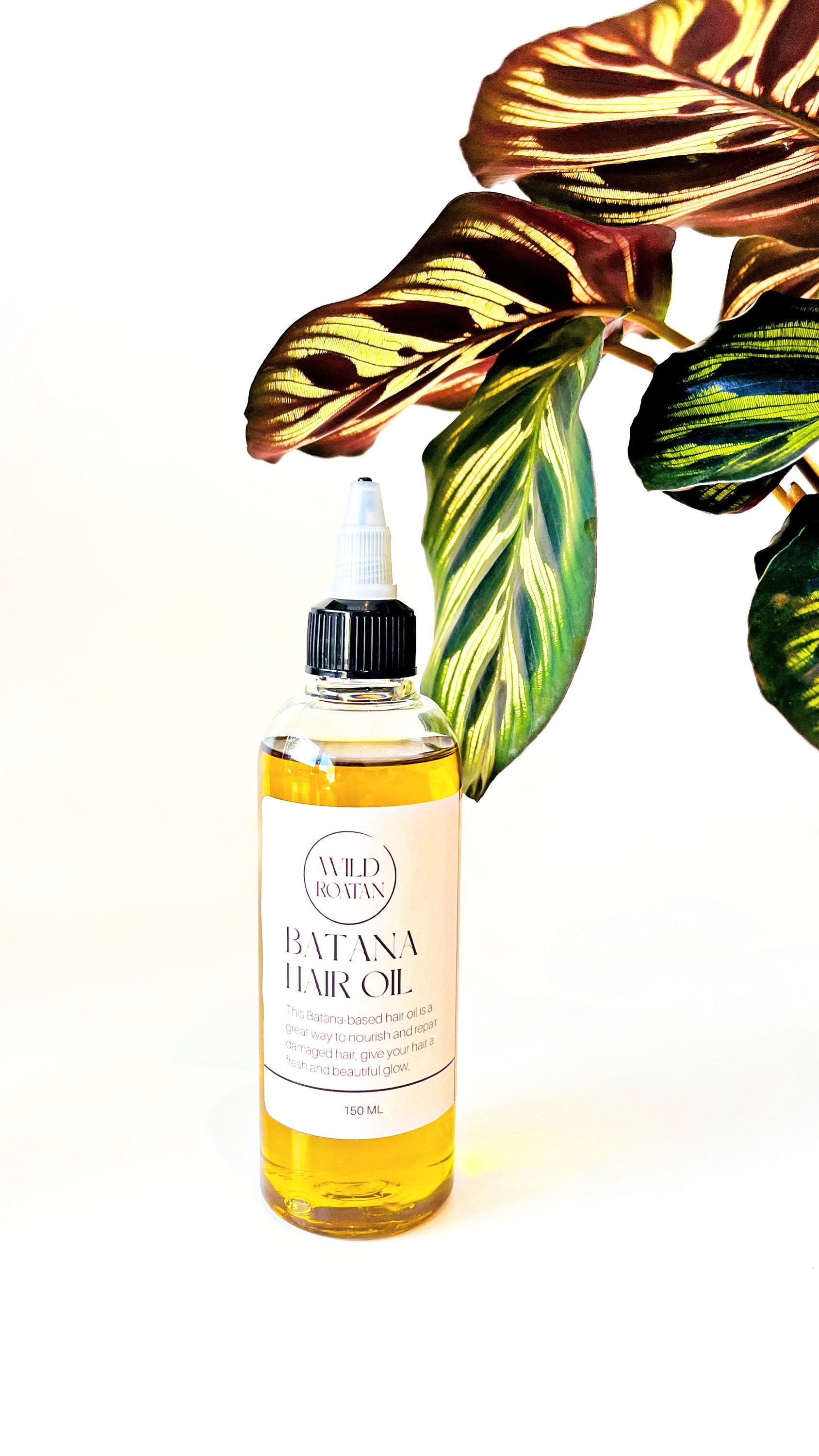 Benefits of Batana Oil for Hair - Batana Oil for Hair, Wild Roatan