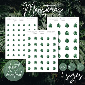 Monstera Leaf Royal Icing Transfers (Digital Download)