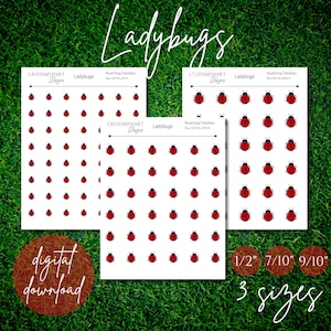 Transferencias de glaseado real de mariquita (descarga digital)