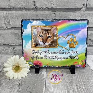 May include: A black slate memorial plaque with a photo of a tabby cat, a rainbow, a heart with a paw print, and the text "Best friends come into our lives & leave Pawprints in our Hearts".