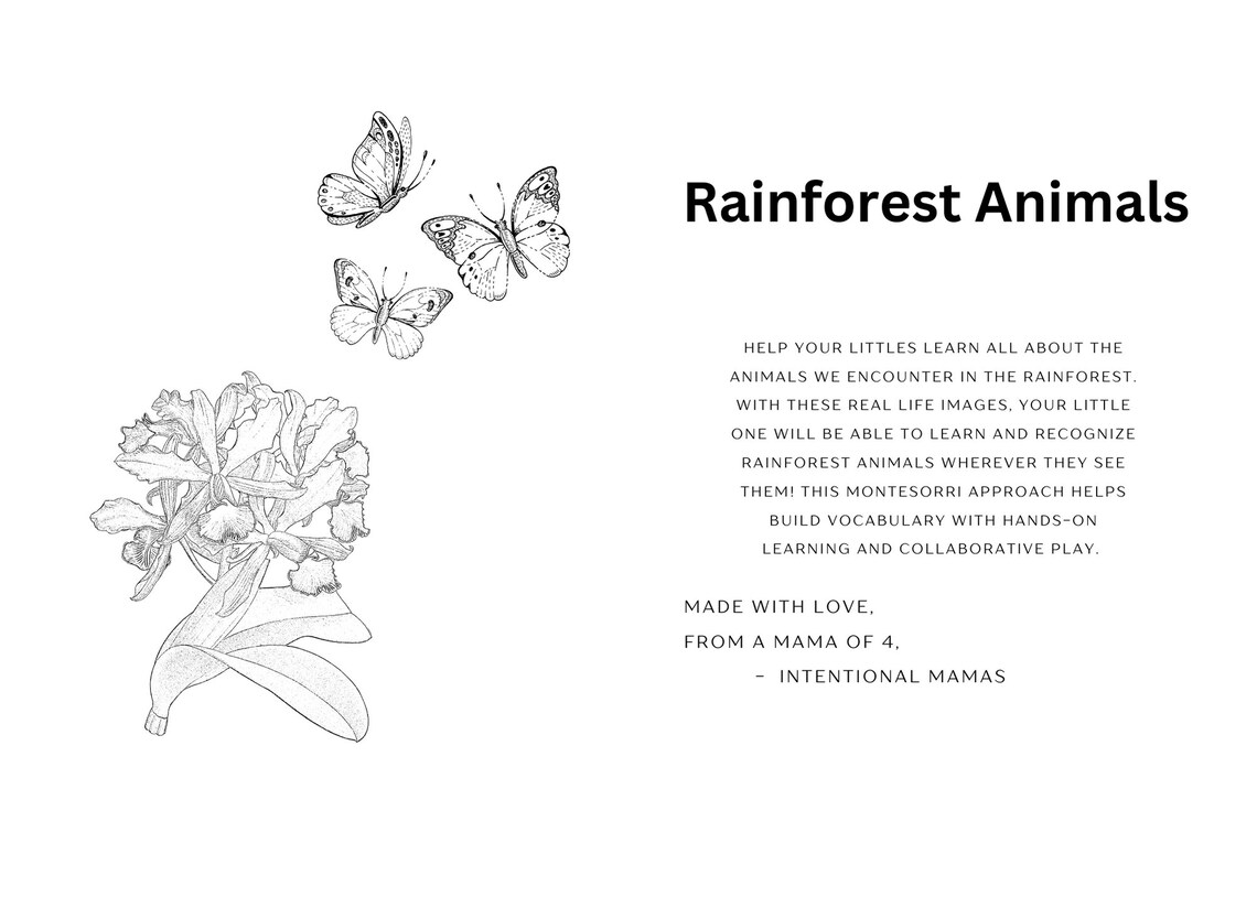 Kids Educational Flashcards Rainforest Animals - Etsy